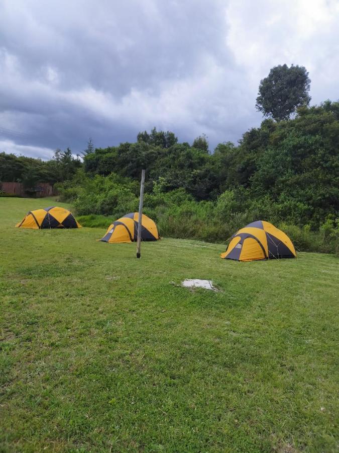 Camp Mahon Gardens