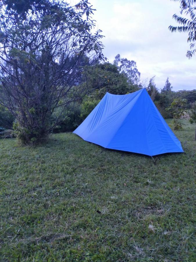 Camp Mahon Gardens Campsite