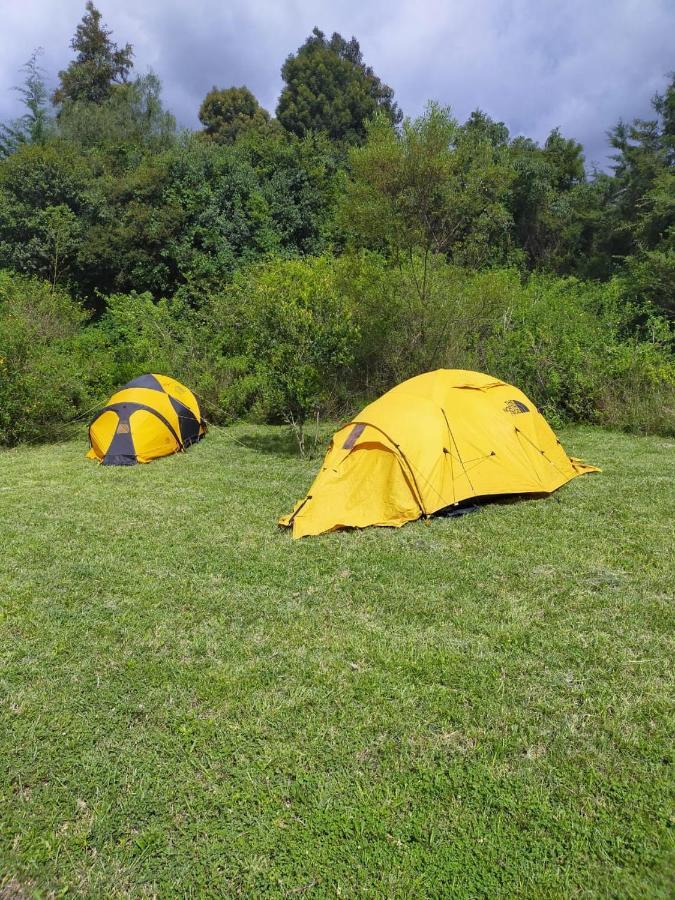 Campsite Camp Mahon Gardens *