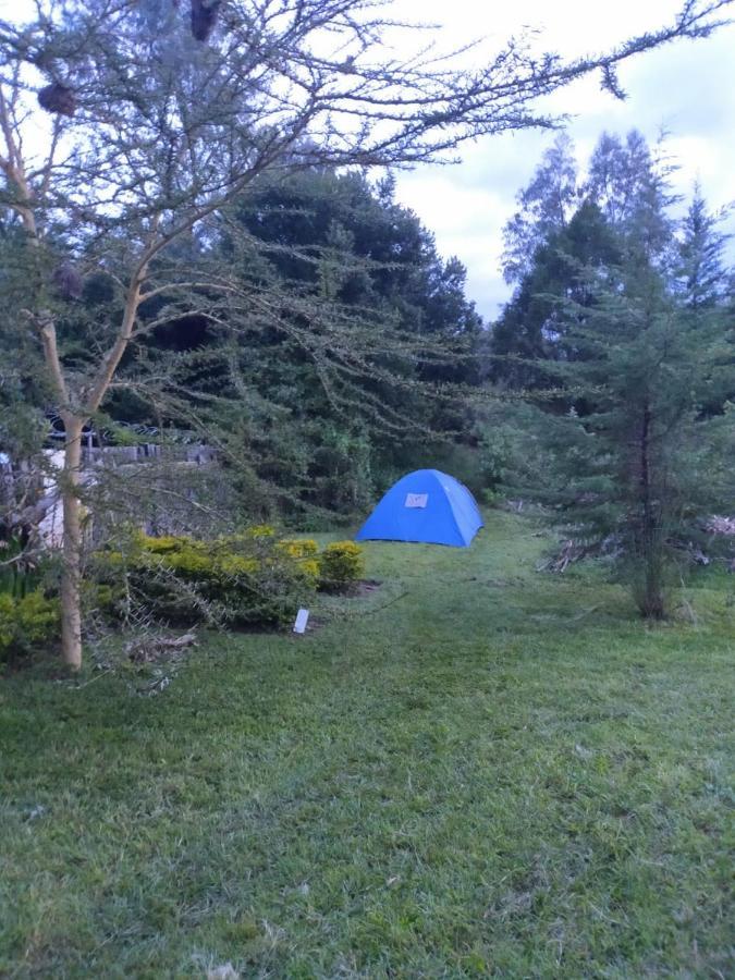 Camp Mahon Gardens Nanyuki