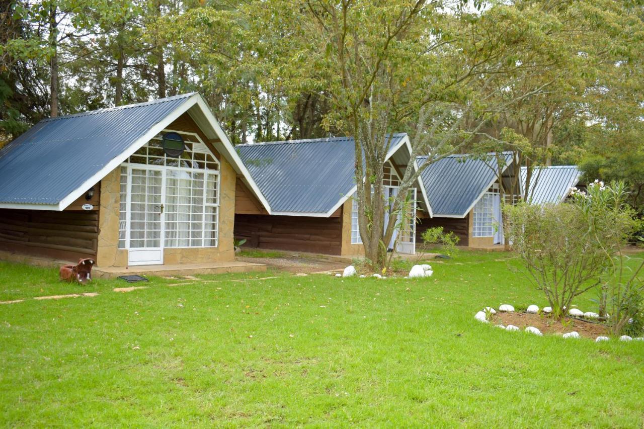 Camp Mahon Gardens Campsite *