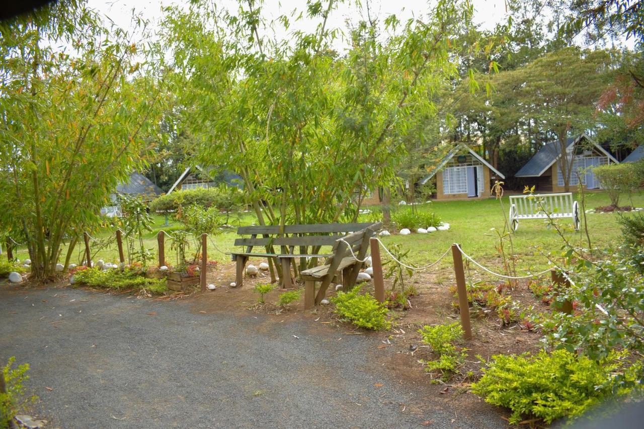 Camp Mahon Gardens Campsite *