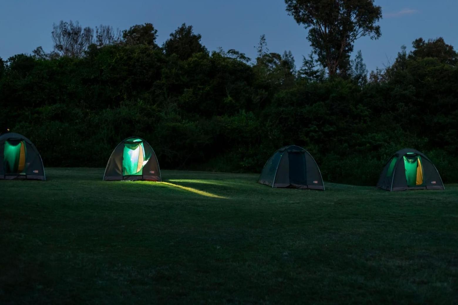 Campsite Camp Mahon Gardens